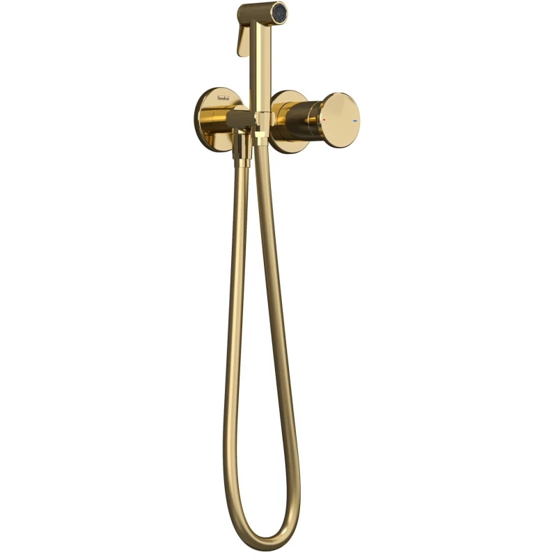 Гигиенический душ Teska Arte Tera T5537 со смесителем, золотой