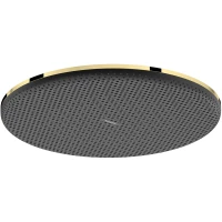 Верхний душ Hansgrohe Raindance Alive S 24520990 300 мм, золотой