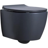 Унитаз подвесной Allen Brau Fantasy 4.11004.AN безободковый, антрацит