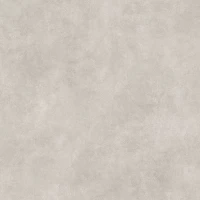 Керамический гранит Dome Grey 60x60