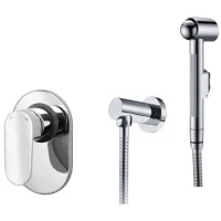 Гигиенический душ WasserKRAFT A15356 со смесителем, хром