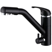 Смеситель для кухни с подключением к фильтру Paulmark Hessen He213017-401