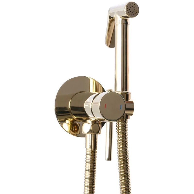Гигиенический душ Rea Loop REA-B8979 со смесителем, золотой