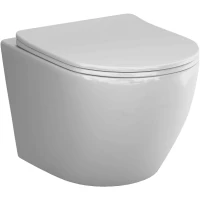 Унитаз подвесной AM.PM Like C801901SC безободковый, торнадо, с сиденьем микролифт, белый