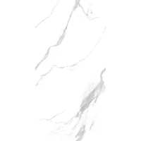 Керамогранит Belleza Embito Cr E Grena Satvario Carvng Endless 60х120