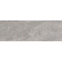 Плитка Starling Ash 30x90