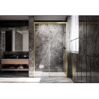 Душевая дверь 149 см Veconi Premium Trento PTD30-G-150-01-C4 прозрачное