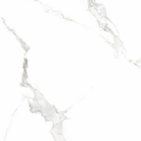 Керамогранит 6461-0411 Иней белый 60x60