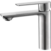 Смеситель для раковины Esko Beijing BJ26 нержавеющая сталь