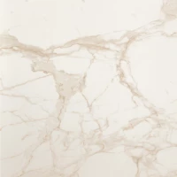 Керамогранит Fap Ceramiche ROMA DIAMOND 60 CALACATTA BRILLANTE, 60X60