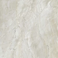 Керамогранит Genio E-3020 матовый 60x60