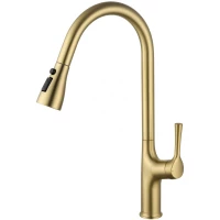 Смеситель для кухни Wonzon & Woghand WW-AE54123-BG с выдвижным изливом, золотой матовый