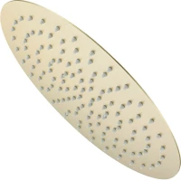 Верхний душ Raglo R451.56.03 300 мм, золотой матовый