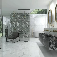 Коллекция ITC Paola