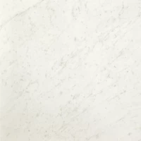 Керамогранит fNES Roma Diamond Carrara Brillante 60x60