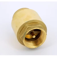 Клапан обратный пружинный с металлическим затвором 1