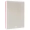 Зеркальный шкаф 60x85,5 см розовый иней R Jorno Pastel Pas.03.60/PI - 1