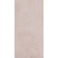 Керамогранит СП1202 Paint Rose Rett R10 60x120