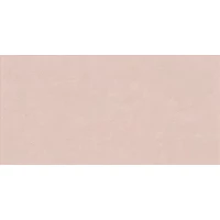 Плитка PF60008235 Powder Ret 60x120