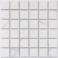 Мозаика Calacatta-48 306*306