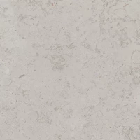 Керамогранит Kerama Marazzi Про Лаймстоун серый светлый 60x60 DD641020R 