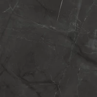 Керамогранит Таймлесс Графит графит LP6060G0041R 59,5x59,5 матовый карвинг