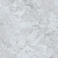 Керамогранит Genio E-3019 матовый 60x60