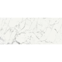 Керамогранит 769856 Les Origines De Rex Blanc Matte Rett 60x120