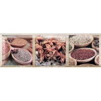 Декор Monopole Ceramica Decor Exquisit A 10x30