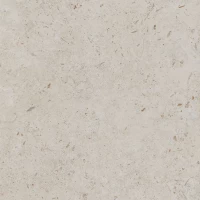 Керамогранит Kerama Marazzi Про Лаймстоун бежевый темный 60x60 DD641120R