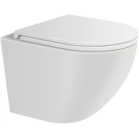 Унитаз подвесной Avimano Emotion 1000021 безободковый, с сиденьем микролифт, белый матовый