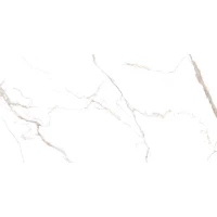 Керамогранит NT Ceramic Bright and Shiny Barbara White mat 60x120