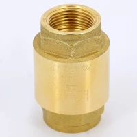 Клапан обратный пружинный с металлическим затвором 3/4