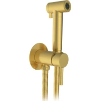 Гигиенический душ AltroBagno Modern AltroBagnoModern060117BG со смесителем, золотой матовый