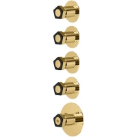 Термостат для ванны Newform Park Limited Edition 69801E.62.093 встраиваемый, золотой