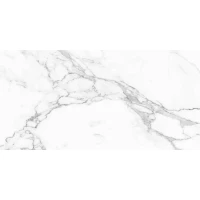 Керамогранит NT Ceramic Bright and Shiny NTT9125M Statuario Infinity 60x120