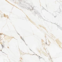 Керамогранит Pegas лаппатированный 60x60