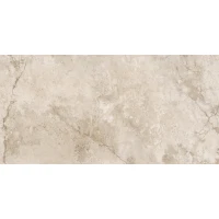Керамогранит NTT9530DM Natural Stone Матовая кристалл 60x120