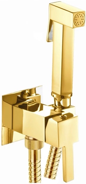 Гигиенический душ Webert Pegaso PE870303010  со смесителем, золотой