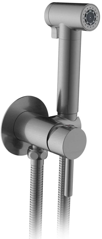 Гигиенический душ AltroBagno Beni aggiuntivi BM 060118 GrMt со смесителем, оружейная сталь