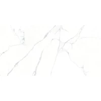 Ogma Керамогранит полированный 80х160