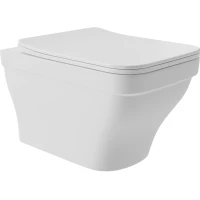 Унитаз подвесной Aqueduto Esteta EST0120 безободковый, с сиденьем микролифт, белый матовый