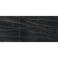 Керамогранит 755848 PRexious Thunder Night Glossy Ret 60x120