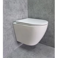 Унитаз подвесной CeramaLux TR2196 безободковый, торнадо, с сиденьем микролифт, белый