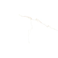 Керамогранит Bianco Mare Gold Luxglass Rect 60x120