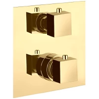 Термостат для душа Webert Pegaso PE970901010