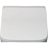 Сиденье для унитаза Ceruttispa Disgrazia Aria CT7849 с микролифтом, белый