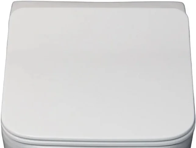 

Сиденье для унитаза Ceruttispa Disgrazia Aria CT7849 с микролифтом, белый