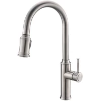 Смеситель для кухни BelBagno BB-LAM58-IN