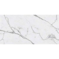 Керамогранит Statuario Fantastico 60x120